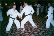 world.sem98-2.JPG (10833 bytes)