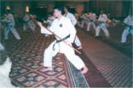 world.sem98-5.JPG (10201 bytes)