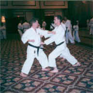 world.sem98-6.JPG (14479 bytes)