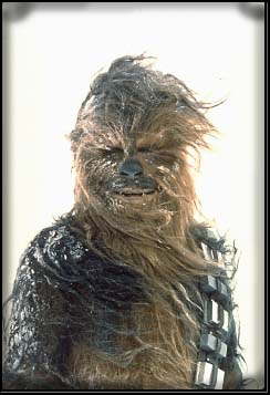 Chewbacca