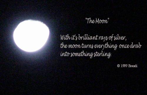 This image (as well as text) is copyright protected