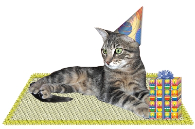 Birthday Cat Nemo