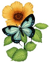 Butterfly and Flower
