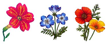 Flowers 4