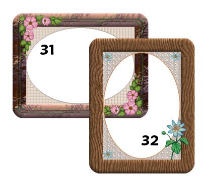 Frames 31 and 32