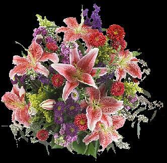 FLOWERS FOR THAT SPECIAL PERSON OR OCCASION?....'CLICK' HERE !
