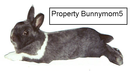 Cloudy lounging around- Graphic property of Bunnymom5.  May not be reproduced without written permission from Bunnymom5: bunnymom5@whale-mail.com