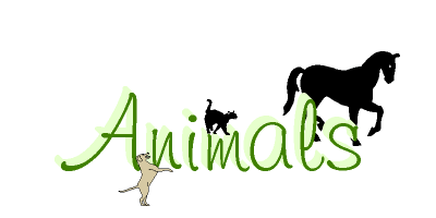 Animals