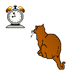 Cat waking to an alarm