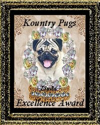 Kountry Pugs Excellence Award