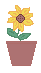 Sunflower Pot