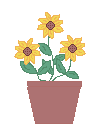 Sunflower Pot