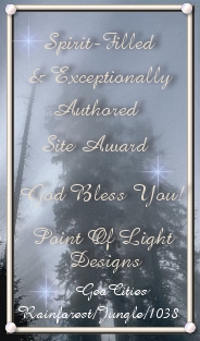 Sheila's Point of Light Exceptionally Authored Award