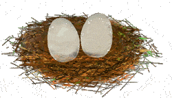 The Nest of Erwin and Connie