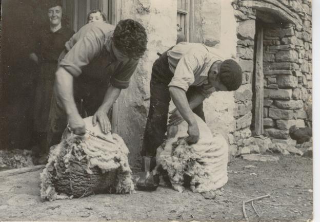 La esquila, a�o 1.960