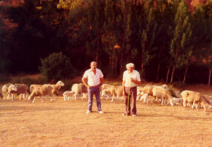 El Pachichi y el Yete