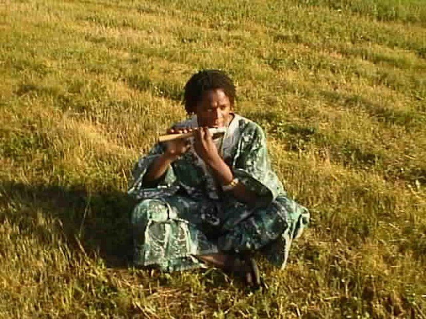 Stevea1.jpg (134153 bytes)