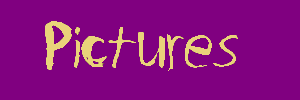 pictures