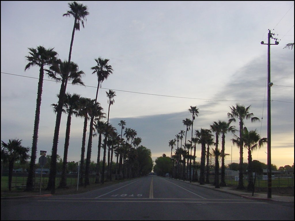 Patterson_CHall.jpg, 46060 bytes, 8/6/01