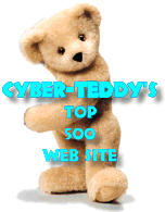 The CyberTeddy Award Winner