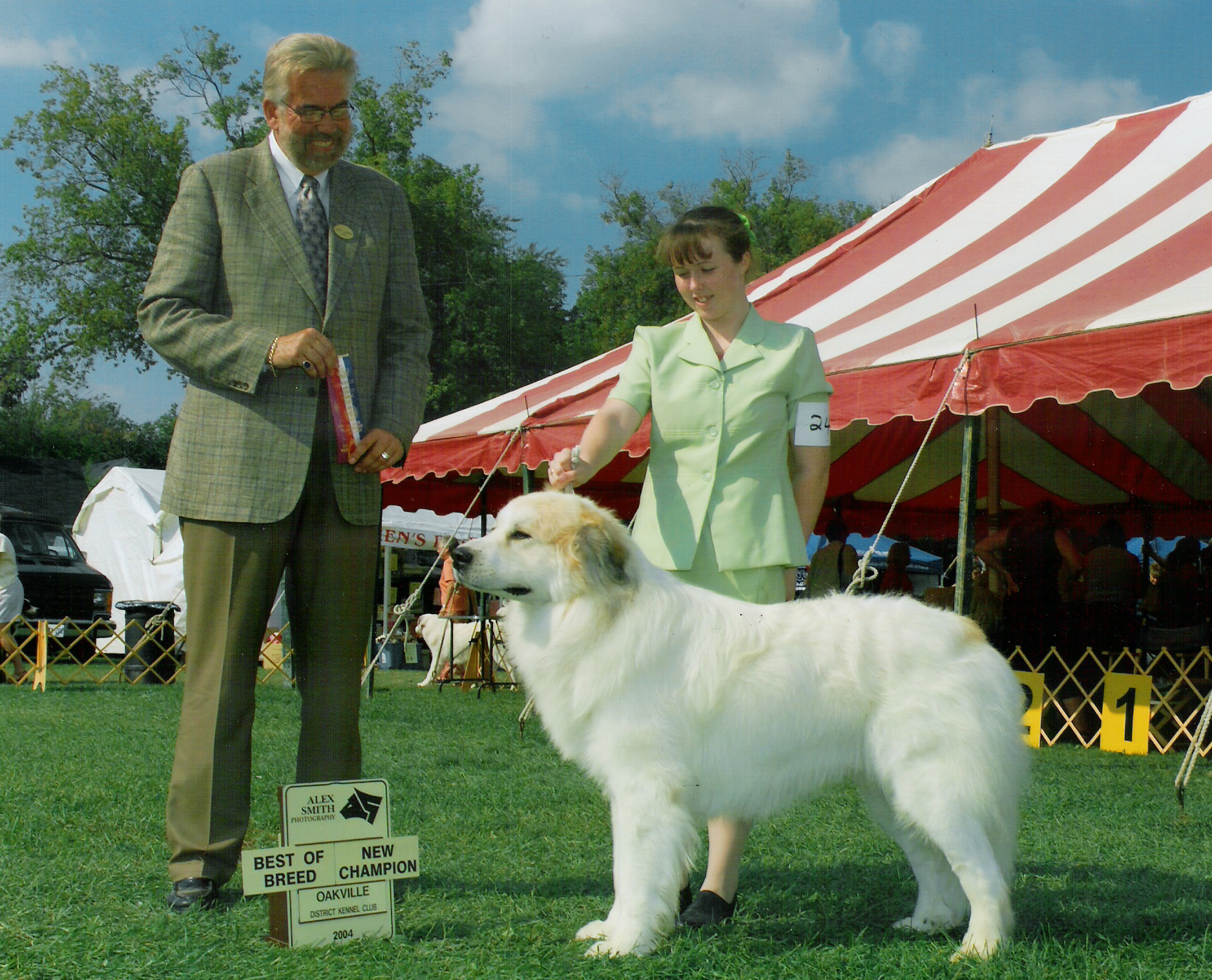 Boston is pictured winning Best of Breed.