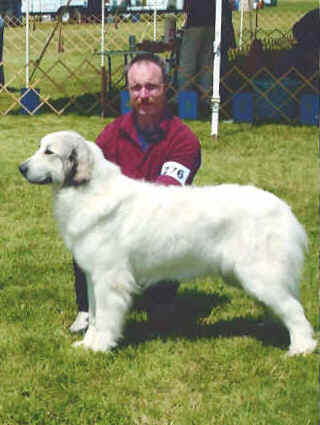 Click to visit Dotty's Page