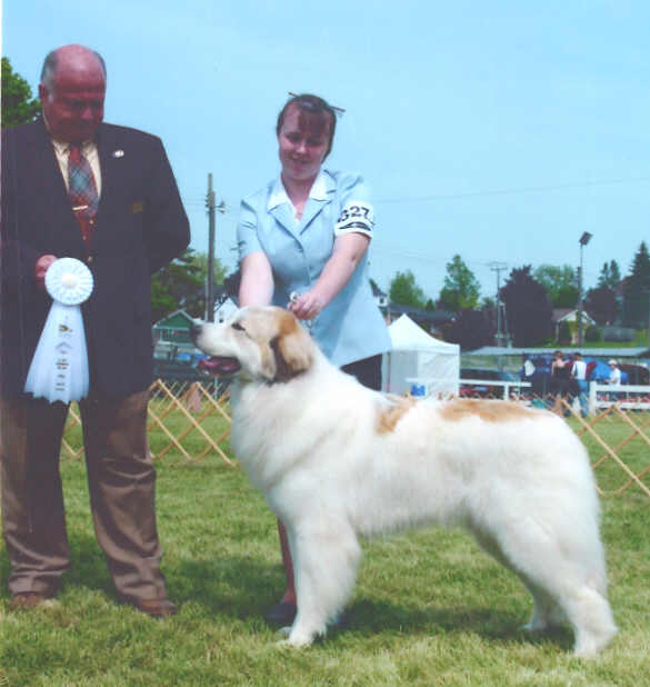 Xena pictured winning group 4th the day she finished her championship