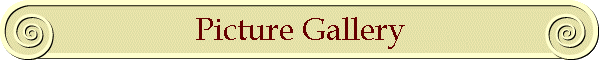 Picture Gallery