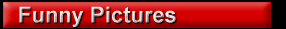 Funny Pictures