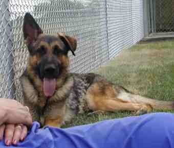 This is photo of Buddy