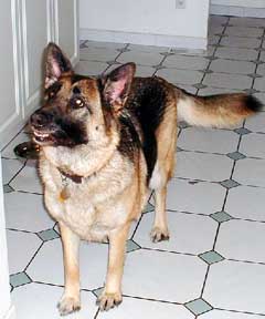 This is photo of Jenny