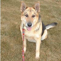 This is photo of Rocky