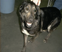 This is photo of Solo