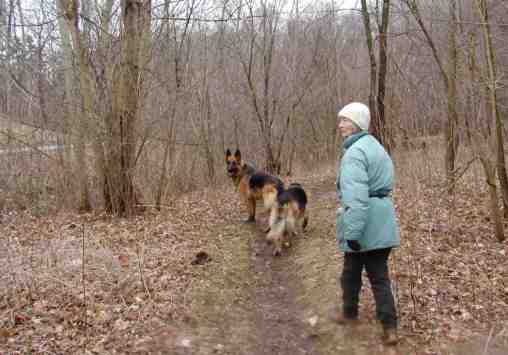 Frieda, our volunteer, with Sable & Sage