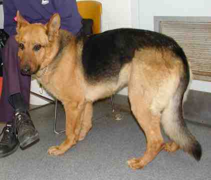 This is photo of Princess