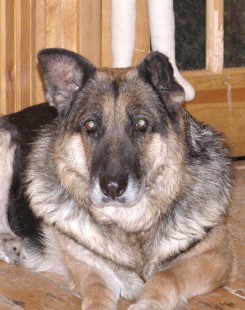 Winnie in her new home.