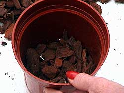 Add crock to plant pot