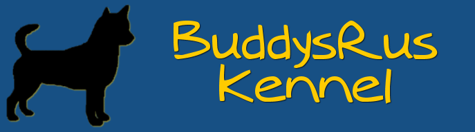 BuddysRus Kennel