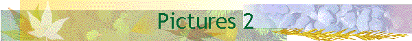 Pictures 2