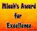 Micah's Award of Excellence