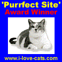 Perfect Cat Award