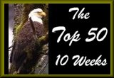 TOP TEN WEEK AWARD