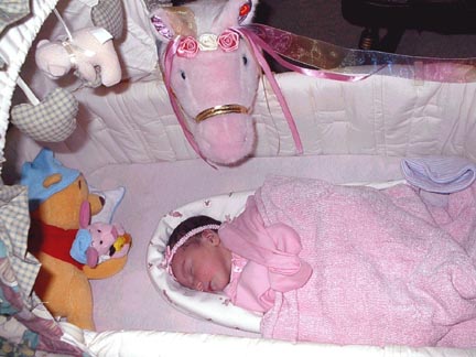 bassinet02.JPG (36491 bytes)