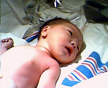 katilyn003a.JPG (32920 bytes)