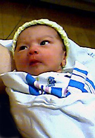 katilyn006.JPG (30741 bytes)