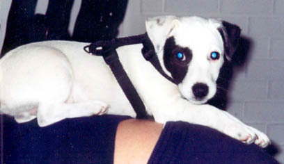 rylee2.JPG (19246 bytes)