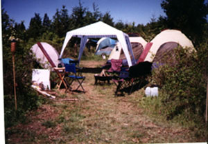 Random encampment photo #2, showing firepit #2, Nate's tent, Jisa's tent, and Alder' s party tent