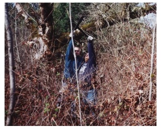 Wonder twin powers, activate!