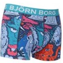 Bjorn Borg Underwear