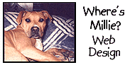 Where's Millie? Web Designs Inc.